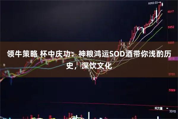 领牛策略 杯中庆功：神粮鸿运SOD酒带你浅酌历史，深饮文化