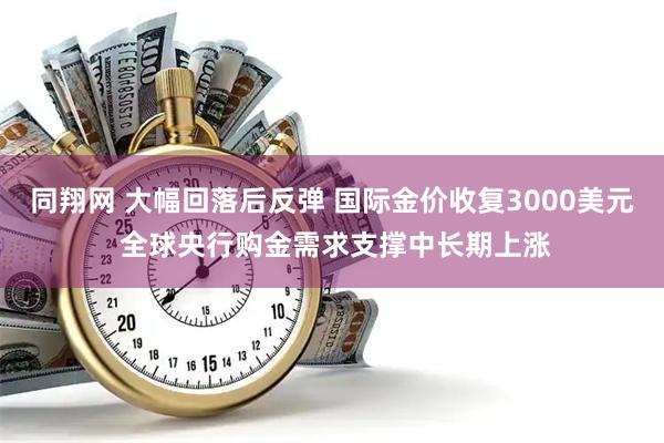 同翔网 大幅回落后反弹 国际金价收复3000美元 全球央行购金需求支撑中长期上涨