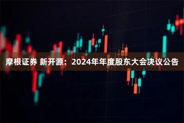 摩根证券 新开源：2024年年度股东大会决议公告