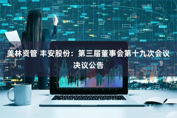 美林资管 丰安股份：第三届董事会第十九次会议决议公告