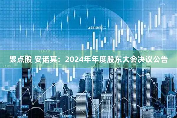 聚点股 安诺其：2024年年度股东大会决议公告