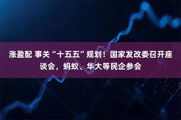涨盈配 事关“十五五”规划！国家发改委召开座谈会，蚂蚁、华大等民企参会