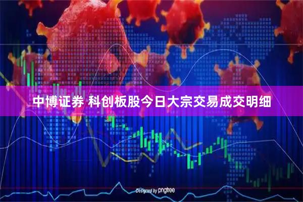 中博证券 科创板股今日大宗交易成交明细